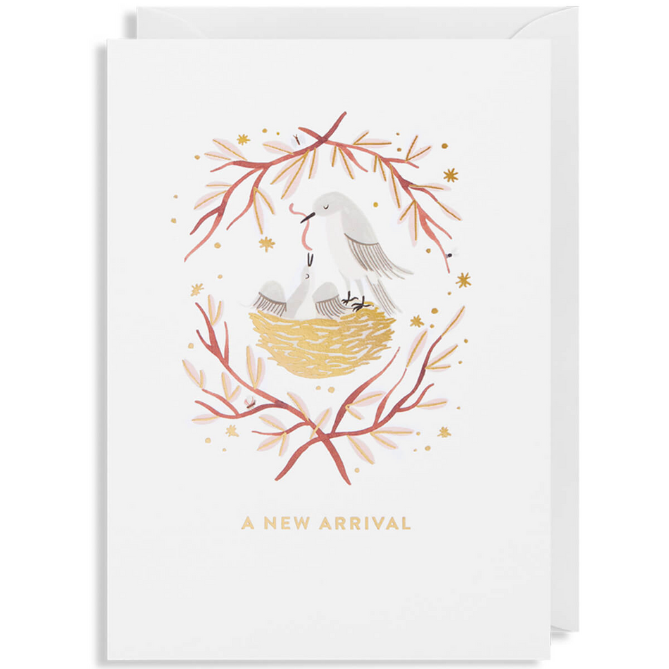 A New Arrival Greeting Card