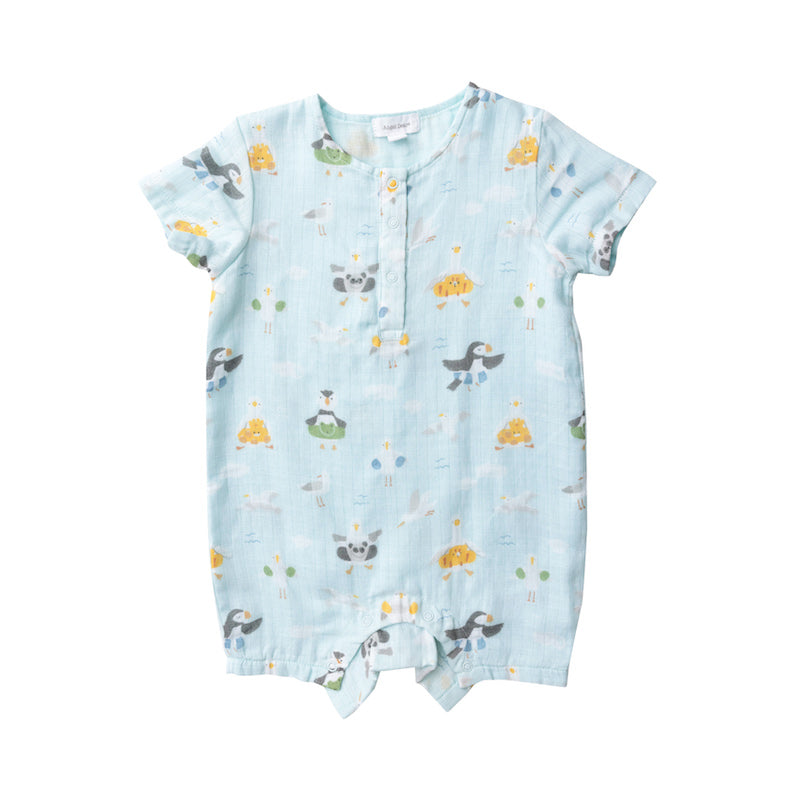 Shorebirds Shortall