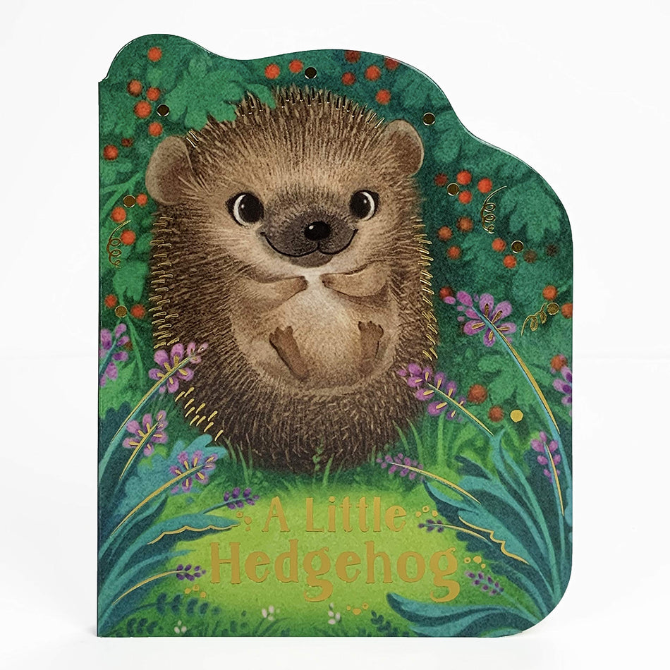 A Little Hedgehog Board Book