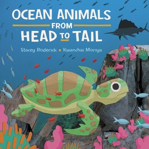 Ocean Animals from Head to Tail