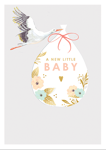 Calypso Stork Baby Shower Card