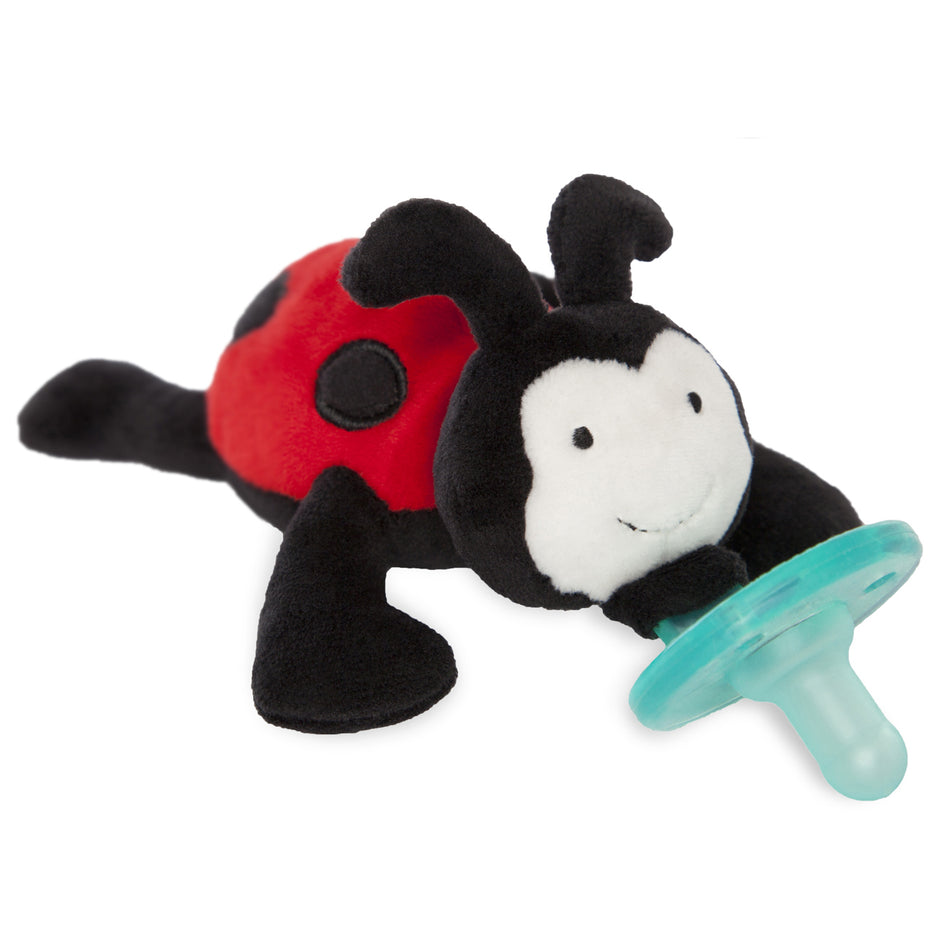 Ladybug Pacifier